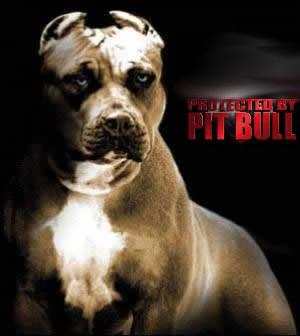 pit